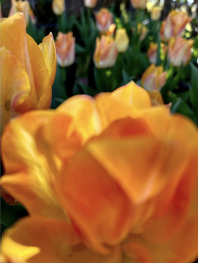 Screenshot 2024-10-05 at 15.33.46