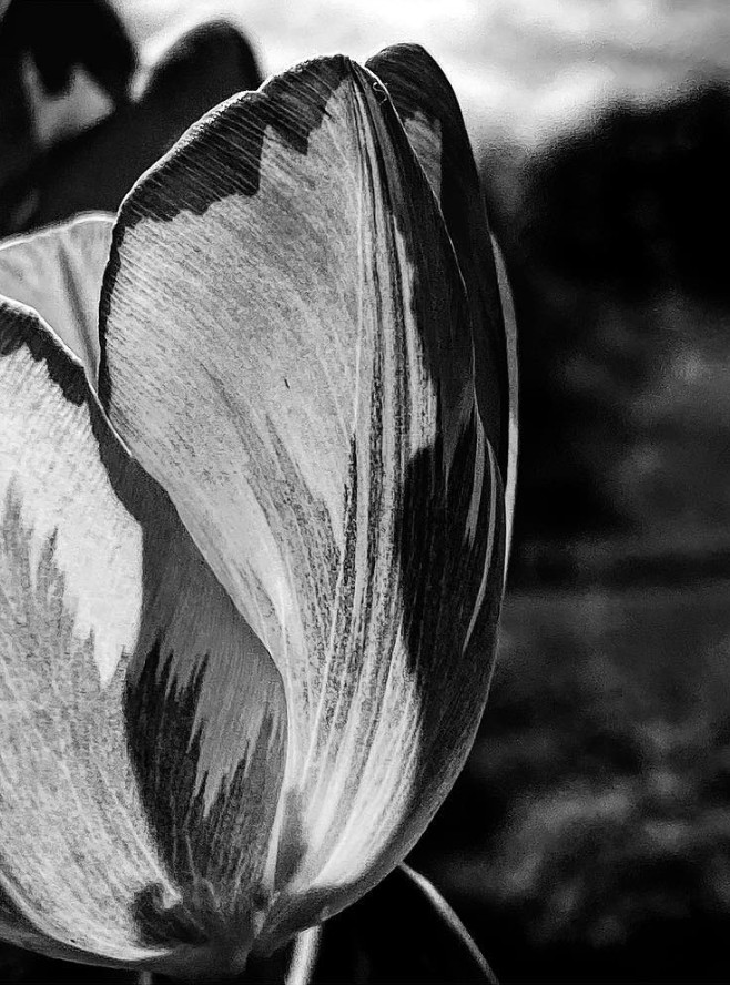 Screenshot 2024-10-05 at 15.35.22